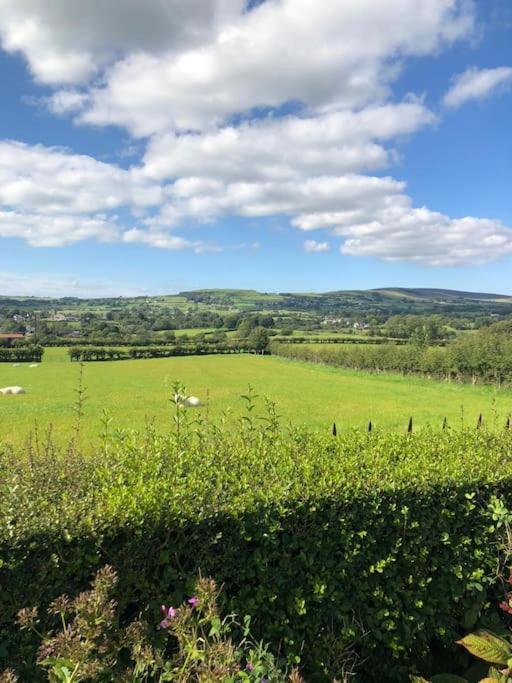 הוילה Martinstown A View Of The Glens מראה חיצוני תמונה